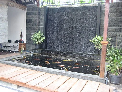 jasa buat kolam ikan