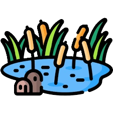 pembuatan kolam pembuatan kolam