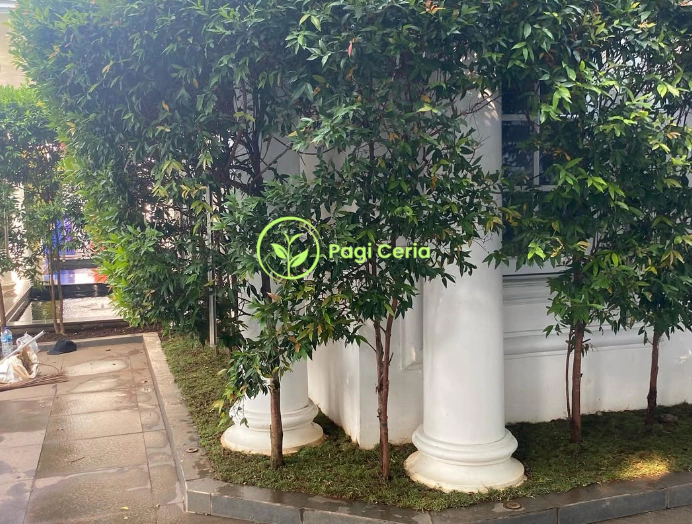Jasa Pembuatan Taman Bekasi