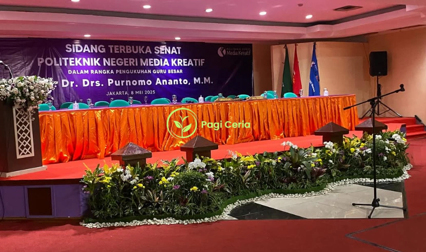 Sewa Tanaman Hias untuk Panggung