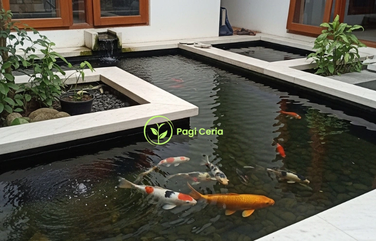 jasa Pembuatan Kolam Ikan Depok