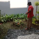 Tukang Taman Jakarta Barat Tukang Taman Jakarta Barat