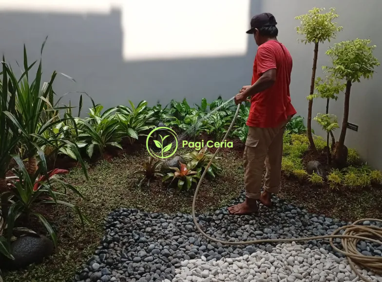 Tukang Taman Jakarta Barat
