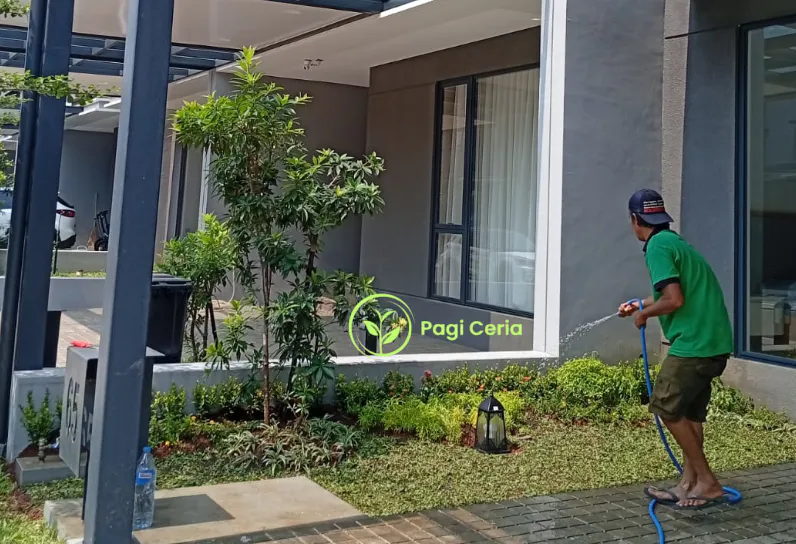 jasa perawatan taman terdekat
